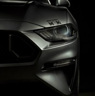 FDL Mustang Biasillo Frontale SX Vertical D Corretta 72DPI.jpg