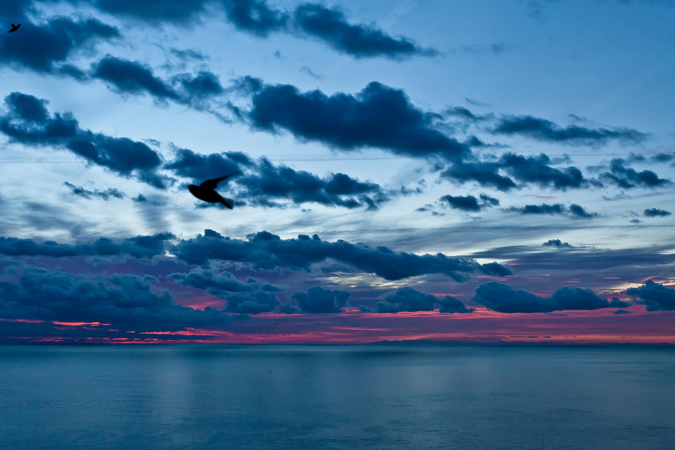 5D 2984 cielo all'alba e corsica.jpg