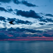 5D 2984 cielo all'alba e corsica.jpg